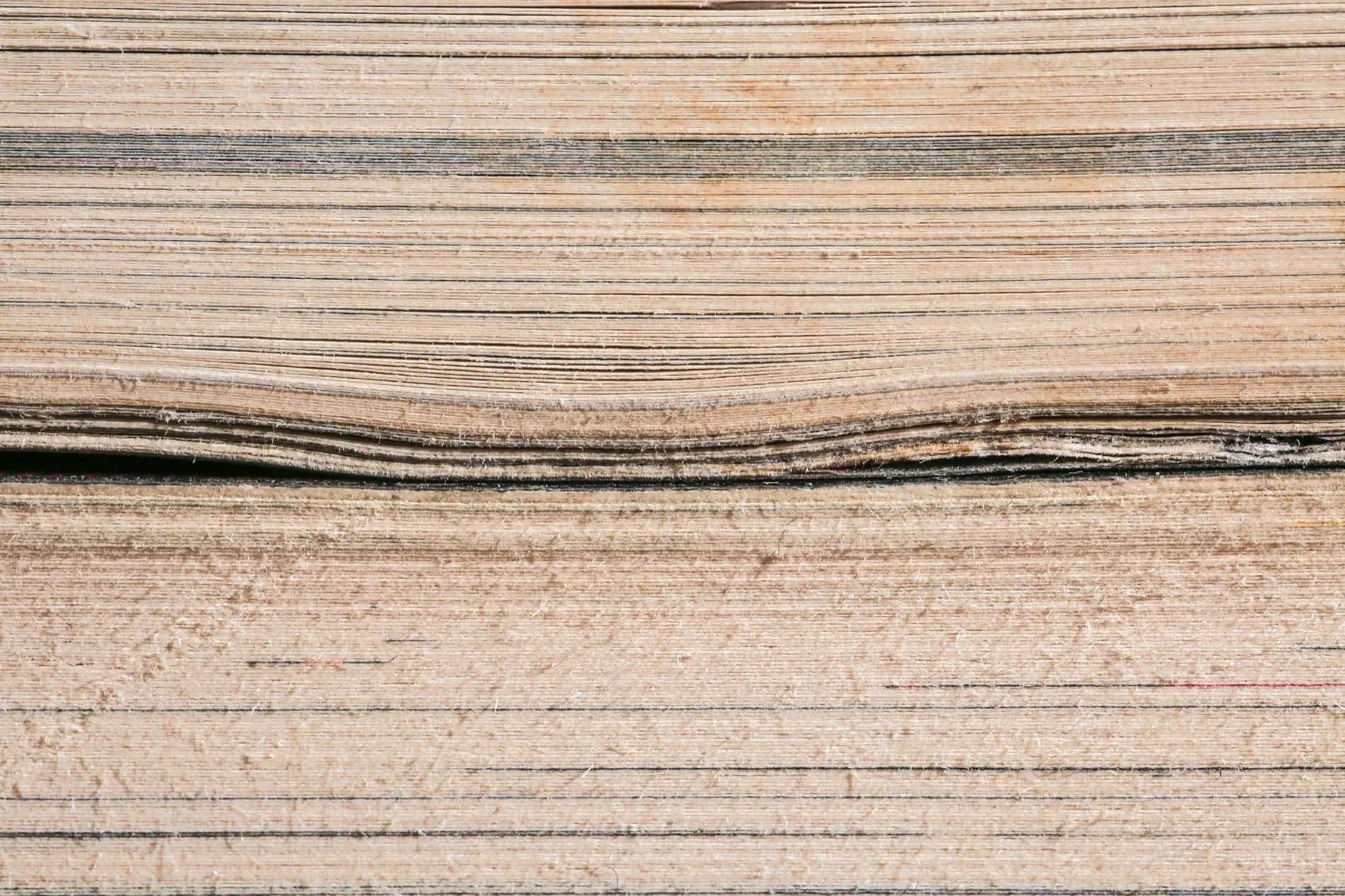 The compressed edges of a stack of pages read as horizontal striations, like a section through rock.